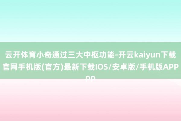 云开体育小奇通过三大中枢功能-开云kaiyun下载官网手机版(官方)最新下载IOS/安卓版/手机版APP